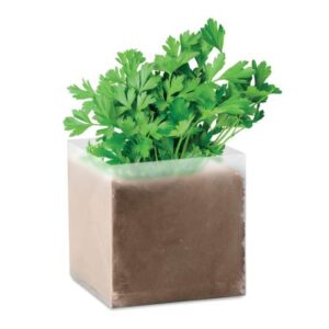 Compost cu seminte "PARSLEY"